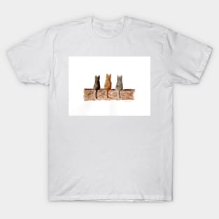 Three cats on the wall T-Shirt